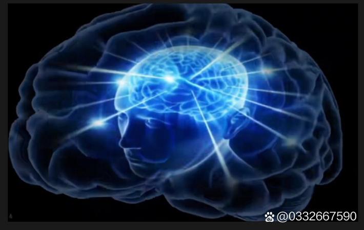爆料网 - 某对明星夫妻被曝已分居半年，各自精彩生活曝光令人唏嘘